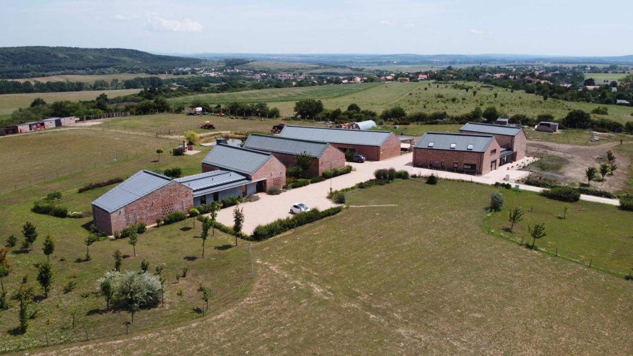 Oeregtoelgy Vendeghaz Villa Szár Екстериор снимка